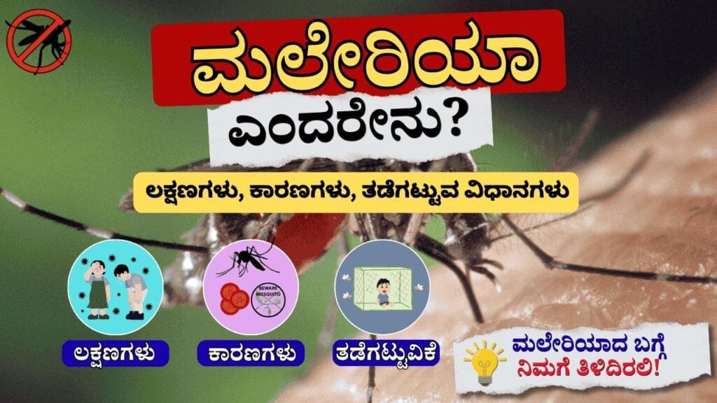 ಮಲೇರಿಯಾದಂತಹ ತೀವ್ರ ಸೋಂಕುಗಳ ಸಮಯದಲ್ಲಿ ಜನರು ಸ್ನಾಯುವಿನ ದ್ರವ್ಯರಾಶಿಯನ್ನು ಏಕೆ ಬೇಗನೆ ಕಳೆದುಕೊಳ್ಳುತ್ತಾರೆ?